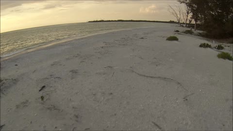 Paramotoring Flight 102 Hot doggin on a typical beach run