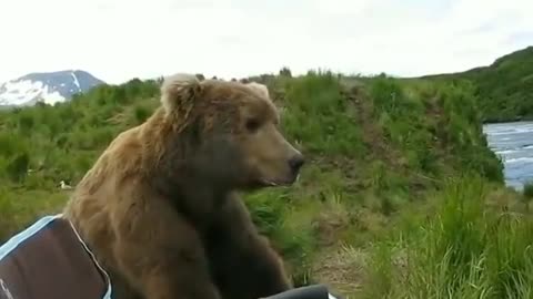 You guys got any Bear......I mean Beer?