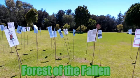 Forest of the Fallen full version