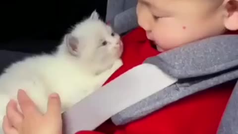 Kid with his cute kitten