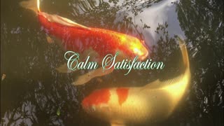 Calm Satisfaction - Solo Piano