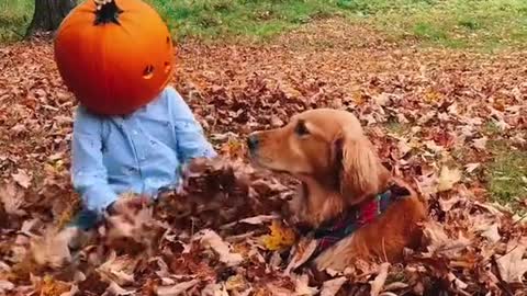 Pumpkin Toddler challenge 🤣