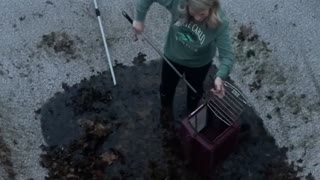 Bunny Rescued From Bottom of Empty Pool