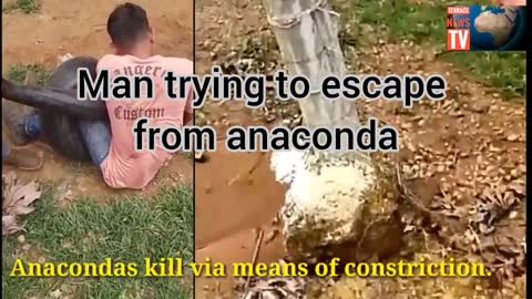Man tries to escape anaconda