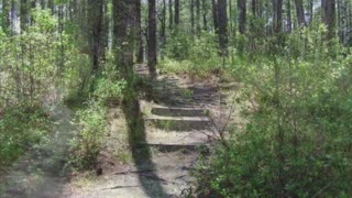 Weymouth Woods Nature Preserve