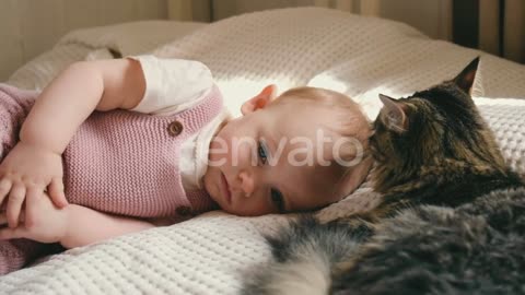 Furry Love: Watch as a Cat Shows Affection to a Baby