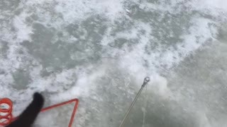 Fisherman Gives Mink a Proper Meal