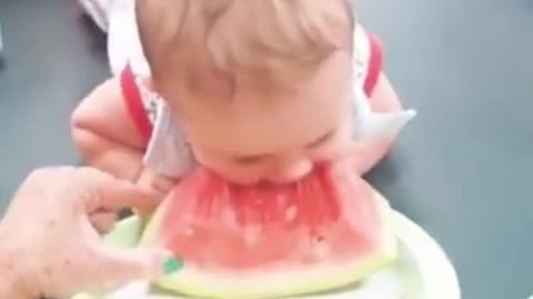 Funny Baby Videos eating fruits Part 2