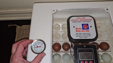 Setting Chicken Eggs in Incubator for 21-Day Hatch Date 04/08/2024
