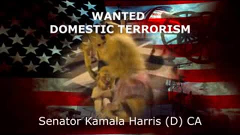 IMPEACH KAMALA HARRIS FOR INCITING RIOTING...