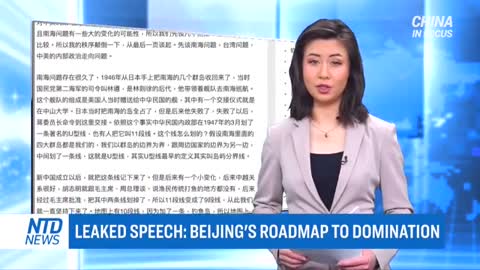 NTD 30/3/2021 Report on Jin Canrong's speech