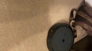 iRobot Roomba i4 is a trip