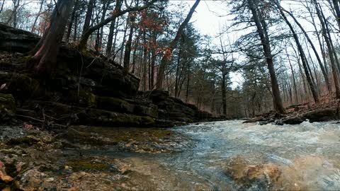 Chinquapin Trail - Missouri [ Mar. 2021 ]