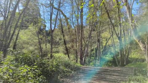 Aptos Creek Park