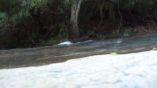 Calming river sounds
