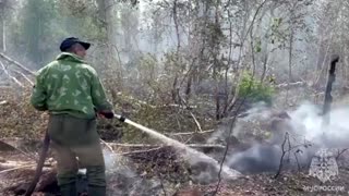 Russia battles Siberian wildfires, forest blaze grows
