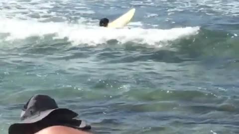Yellow surfboard kid paddles out in ocean