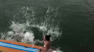 Paddle Board Landing Fail
