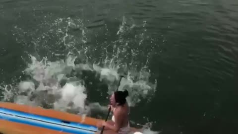 Paddle Board Landing Fail