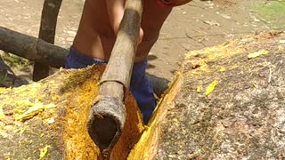 Inspiring Boy Chops Wood