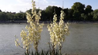 Beautiful Scenery in Esfahan