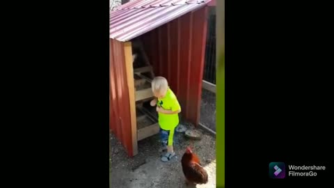 THE CHILD IS PURSUED BY A ROOSTER 😅😅😂: