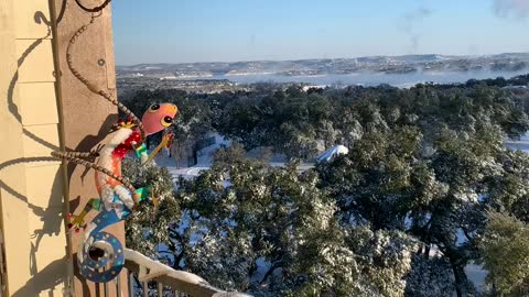 Record now and low temps in Austin 2/15/21