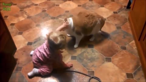 😍Funny Cats Playing With Cute Babies