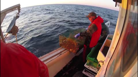 LOBSTERING IN MAINE DOCUMENTARY
