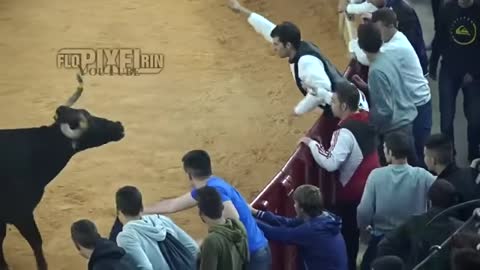 Dangerous Bull Fight Accidents Compilation Lucky and Funny People Fail Video Clips