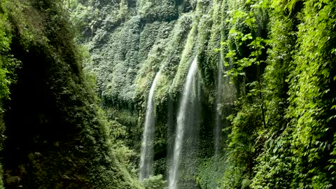 Waterfall Cascading Through Vine Plants Covering The Cliffs