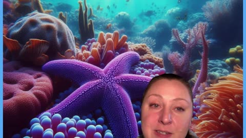 OLA TALKS STARFISH!