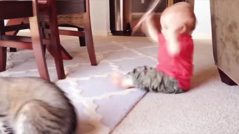 Laughing with these Cute Babies and Cute Kittens, I doubt you won't laugh