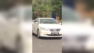 Drivers Kick And Drag Injured Monkey By Tail To Roadside