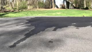 Guy grey sweats black shirt tries to do longboard skateboard slide fails concrete