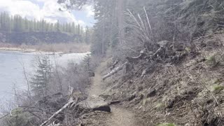 Hiking Through Beautiful Deschutes National Forest – Deschutes River Trail – 4K