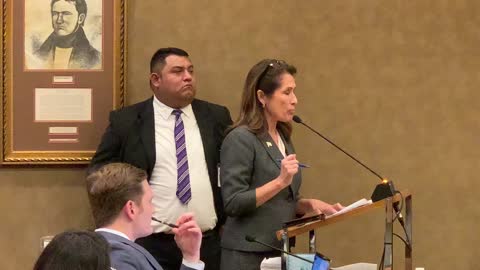 Maria Espinoza Testifies Harris County Commissioner's Court 2-25-2020