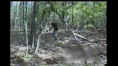 Teenager Breaks Stick On Tree, Flying Piece Hits Friend Behind Camera