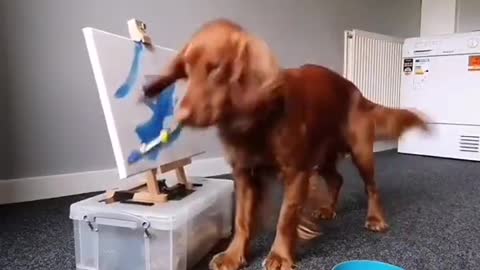pet painting picture