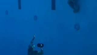 Can you imagine what an underwater physical exercise is ? - This is the best example of that