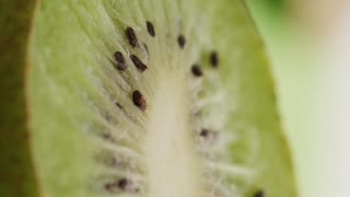 Kiwi Fruits Cutting #kiwi #cutting #fruitcutting