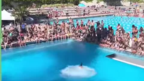 High diving boards...bridges...canals...this lad will dive off absolutely anything 😱