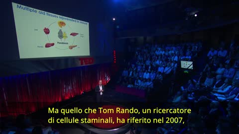 Tony Wyss-Coray, nel 2015, il sangue di esseri giovani puo' essere usato su esseri vecchi