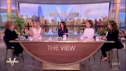 Clueless on guns on t=The View