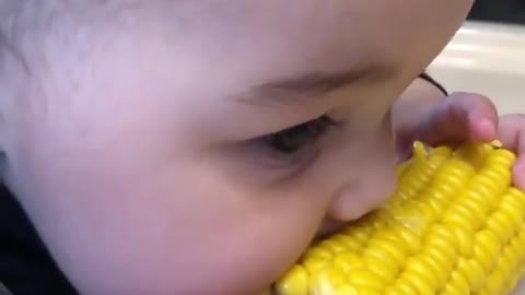cute baby Eating Boiled Corn ... 🥰