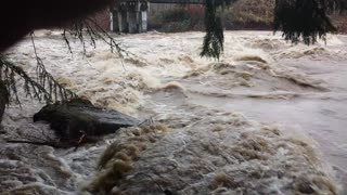 Tilton River Raging