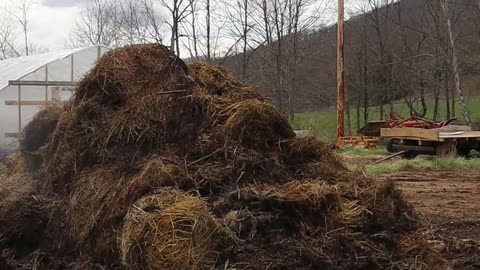 Turning compost #nature #farmstead #gardenplants