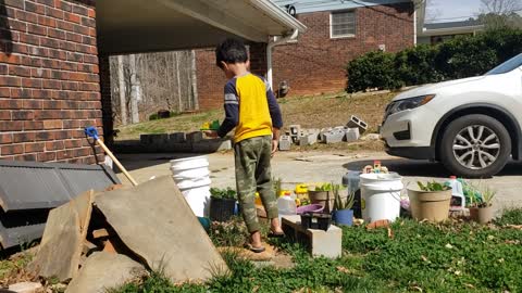 Picking dandelion for fun. Kid with nature.