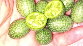 Tiny cucumbers