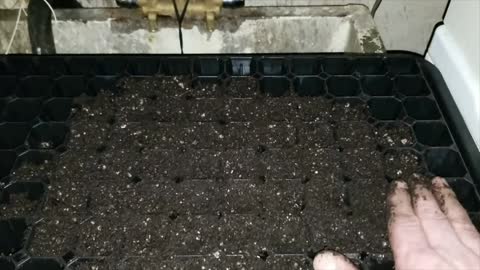 Part 3 - Making Your Own Seed Starting Mix - Prepping Trays To Start Seeds